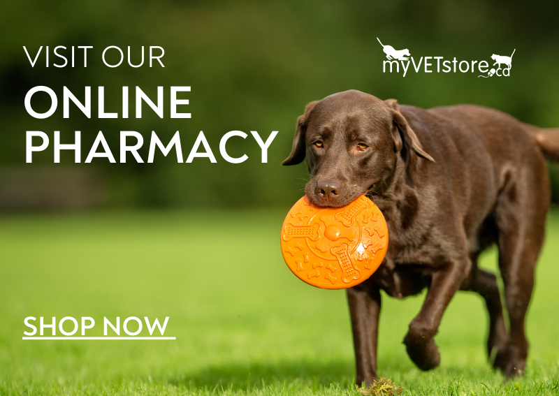Carousel Slide 1: Shop our online pharmacy >